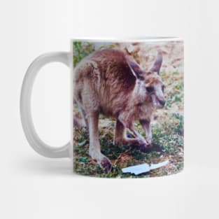 The Joey Mug